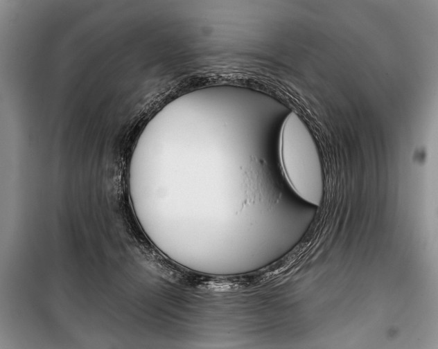 X0000101100464200806261049
