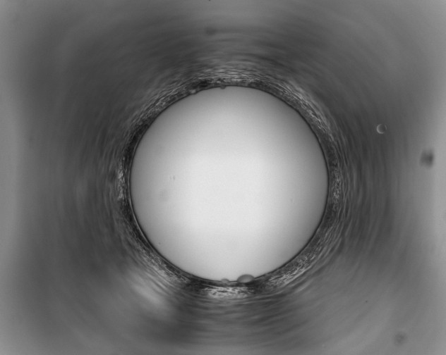 X0000101100465200806261049