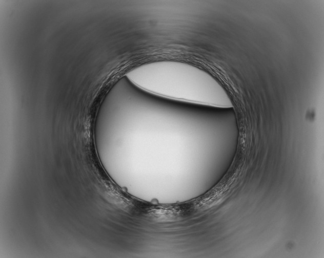 X0000101100466200806261049