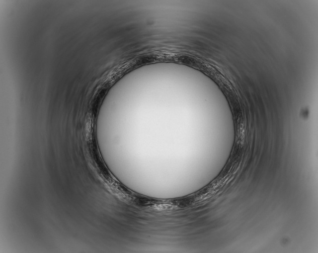 X0000101100468200806261049