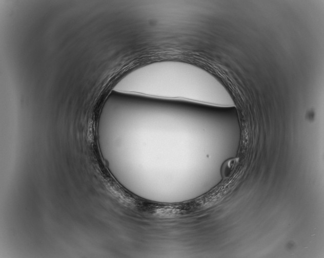 X0000101100470200806261049