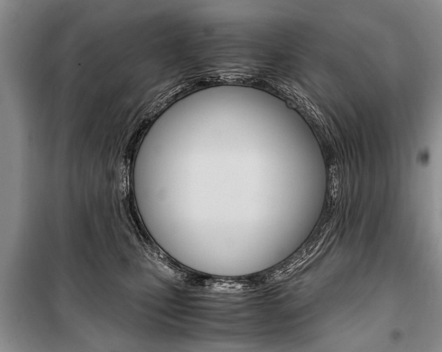 X0000101100471200806261049