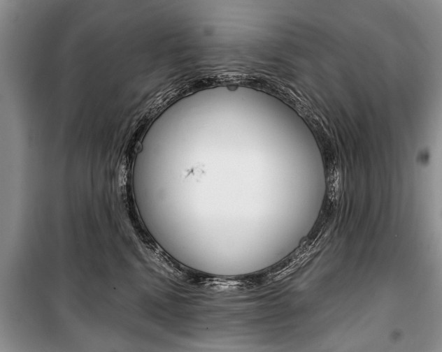 X0000101100472200806261049