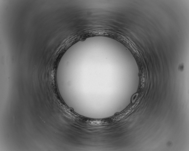 X0000101100473200806261049