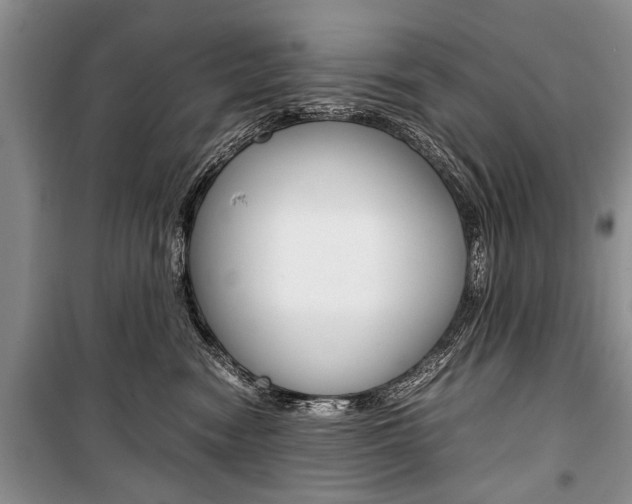 X0000101100474200806261049