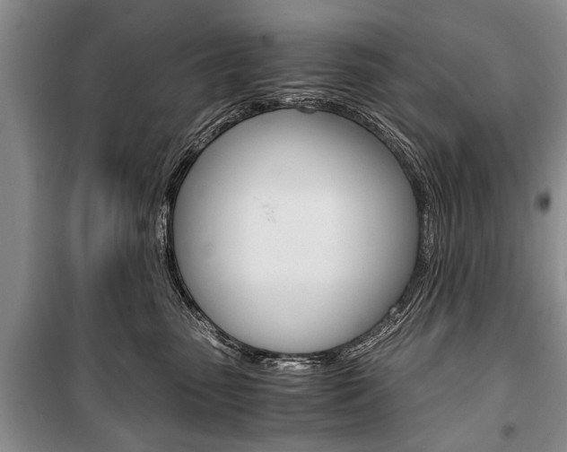 X0000101100475200806261049