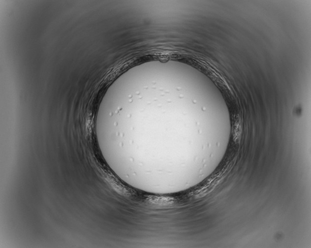 X0000101100476200806261049
