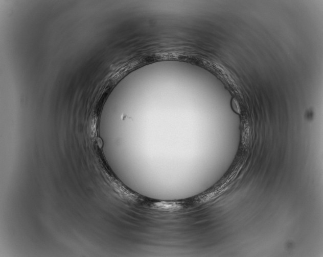X0000101100477200806261049