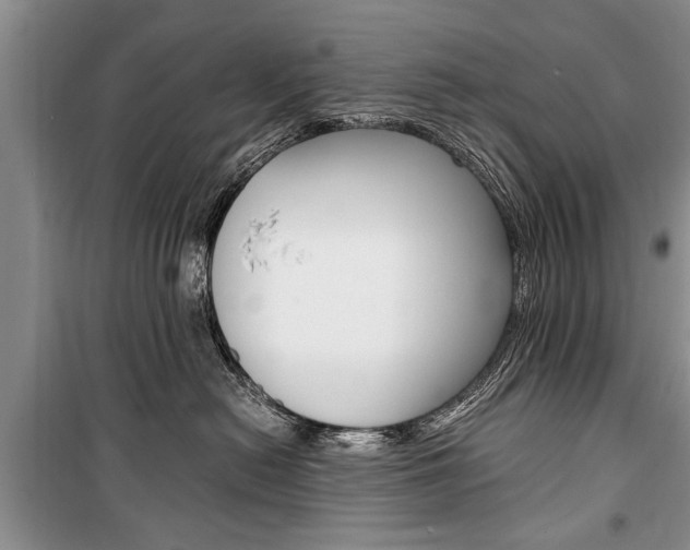 X0000101100478200806261049