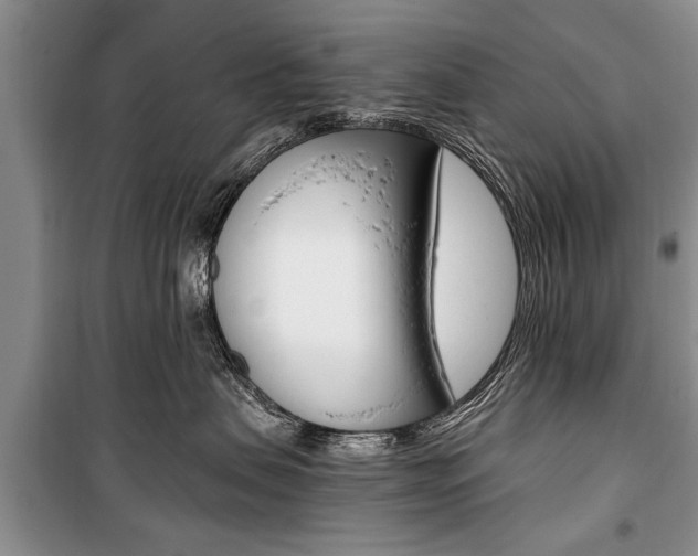 X0000101100479200806261049