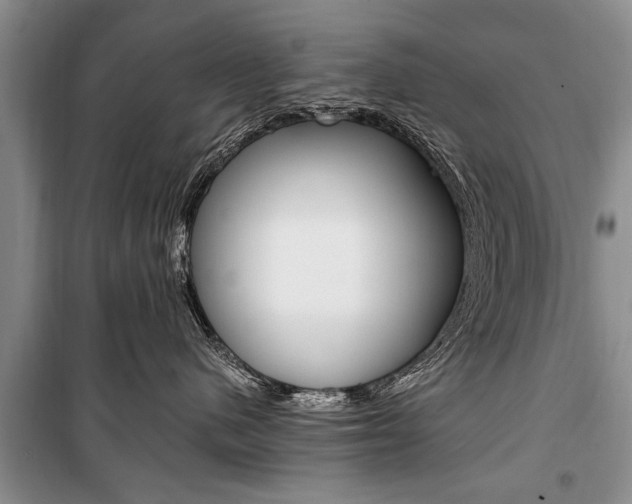 X0000101100480200806261049