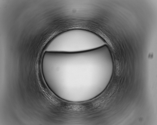 X0000101100482200806261048
