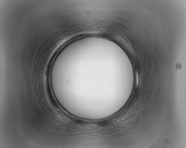 X0000101100483200806261048
