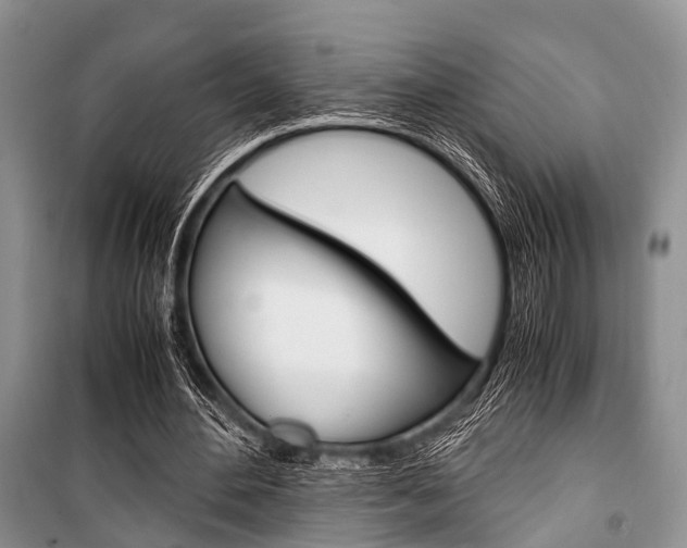 X0000101100484200806261048