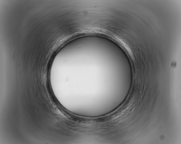 X0000101100485200806261048