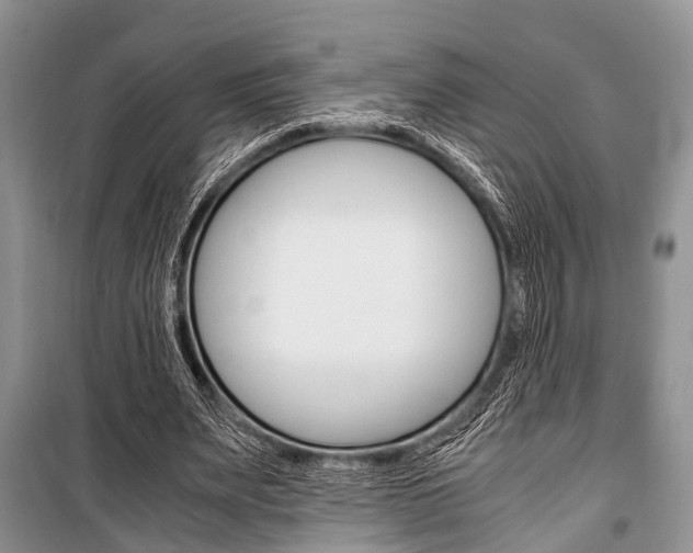 X0000101100487200806261048