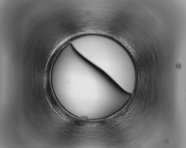 X0000101100488200806261048