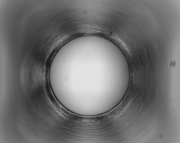 X0000101100490200806261048