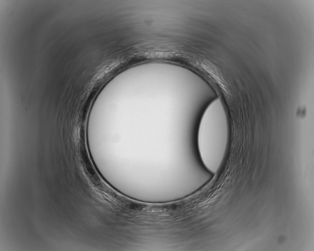 X0000101100491200806261048