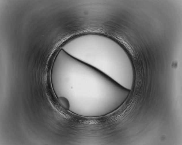 X0000101100492200806261048