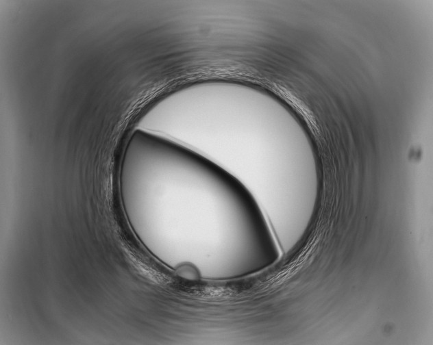X0000101100493200806261048