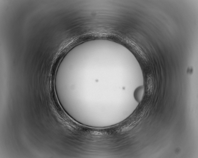 X0000101100494200806261048