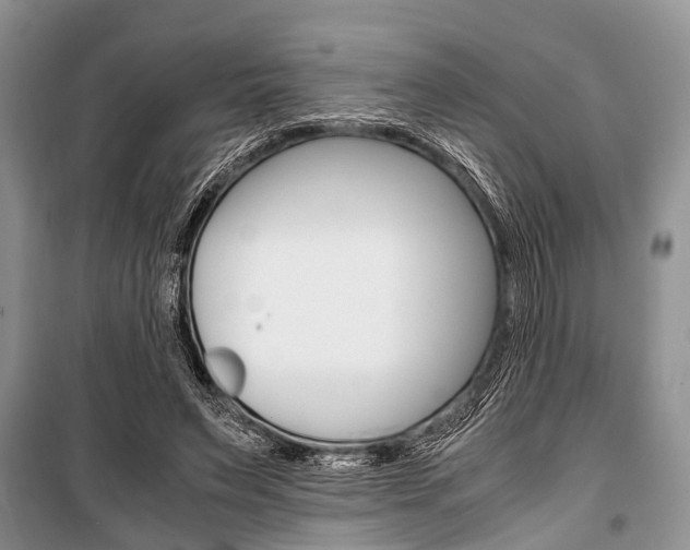X0000101100495200806261048