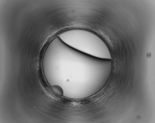X0000101100496200806261048