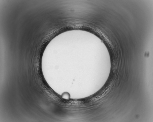 X0000101100497200806261048