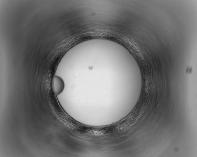 X0000101100498200806261048