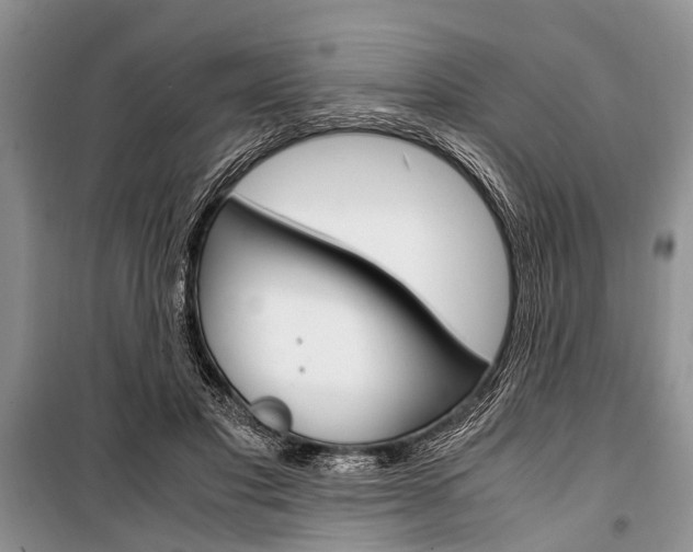 X0000101100501200806261048