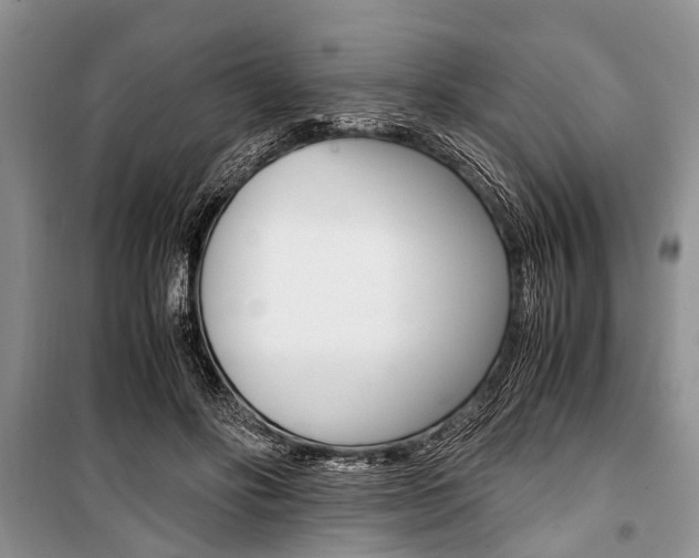 X0000101100502200806261048