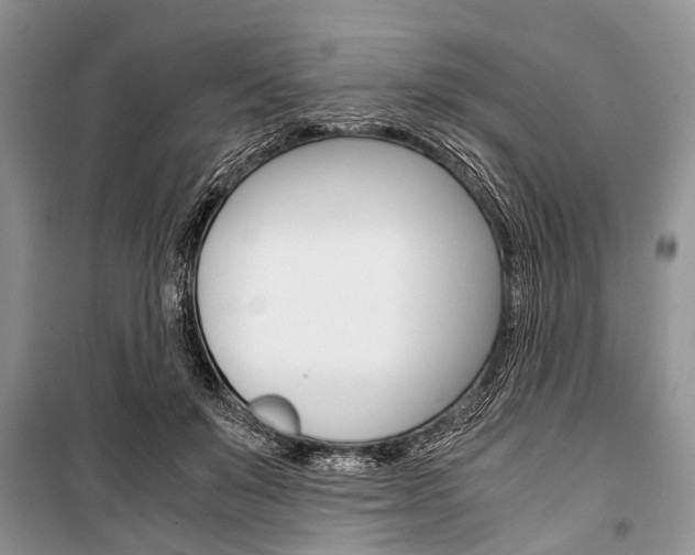 X0000101100503200806261048