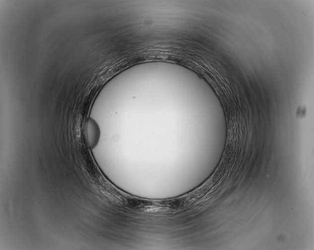 X0000101100504200806261048
