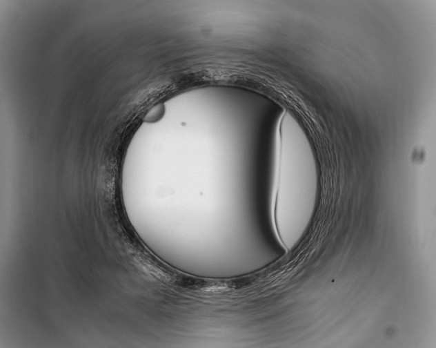 X0000101100505200806261048