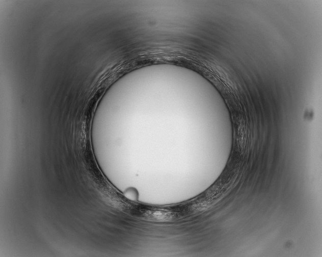 X0000101100506200806261048