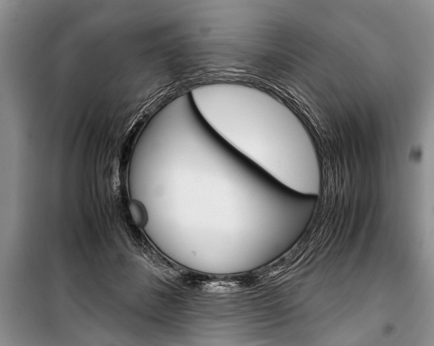 X0000101100508200806261048