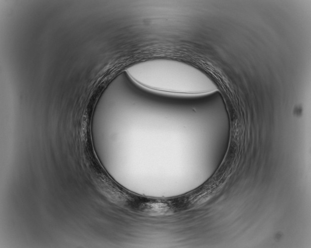 X0000101100509200806261048