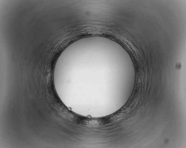 X0000101100513200806261048