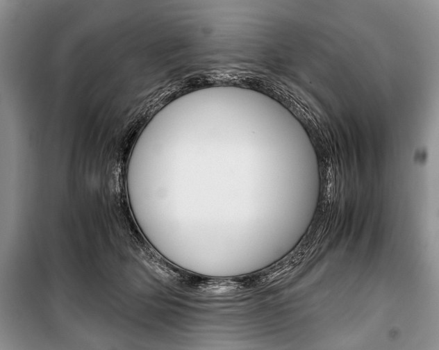 X0000101100514200806261048