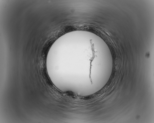 X0000101100515200806261048
