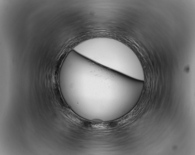 X0000101100516200806261048