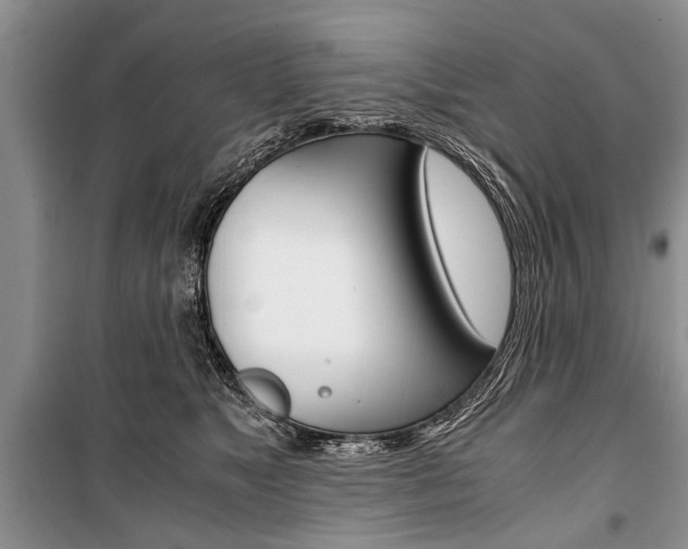 X0000101100517200806261048