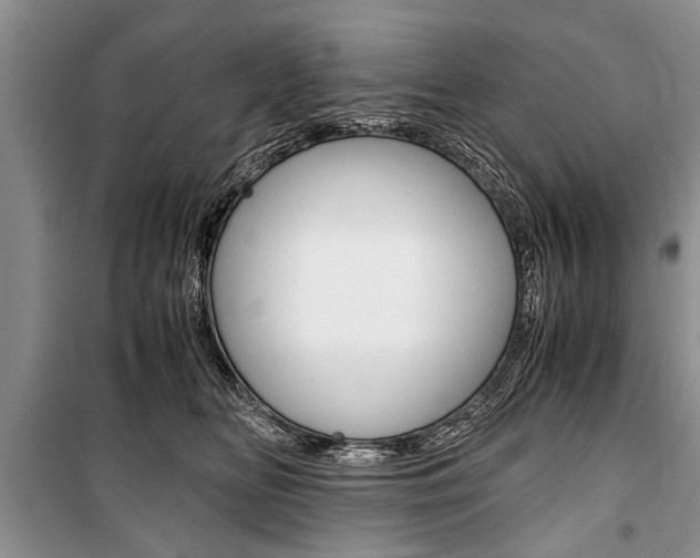 X0000101100518200806261048