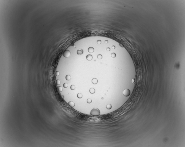X0000101100519200806261048