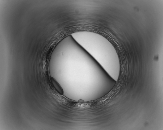 X0000101100520200806261048