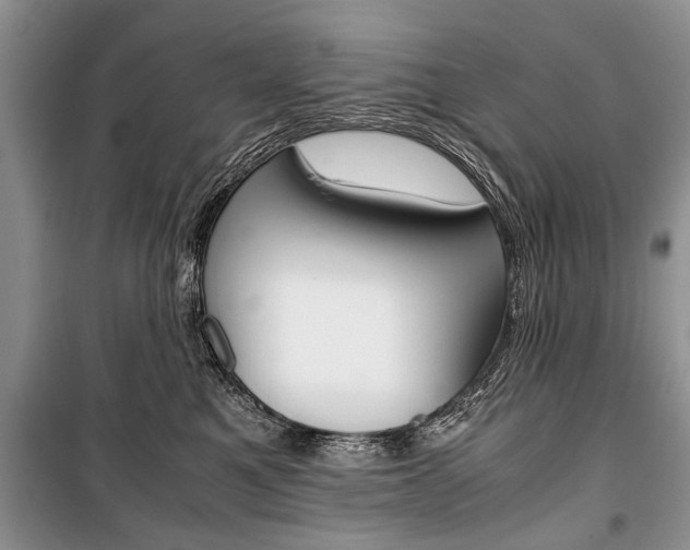 X0000101100521200806261048