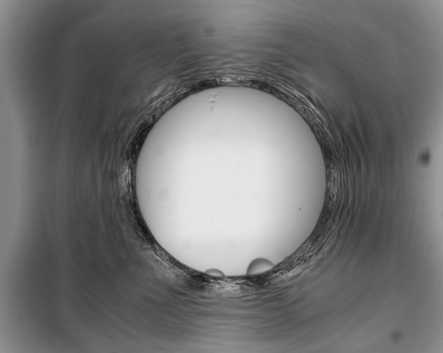 X0000101100523200806261048