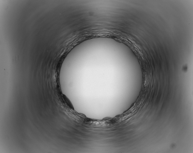 X0000101100524200806261048