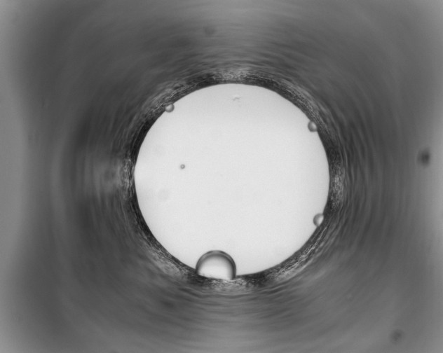 X0000101100525200806261047